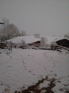 Ladik Yumaklı Köyü Resimleri 4