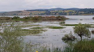 Ladik Yukarıgölyazı Köyü Resimleri 4