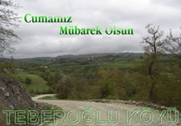 Ladik Teberoğlu Köyü Resmleri 10