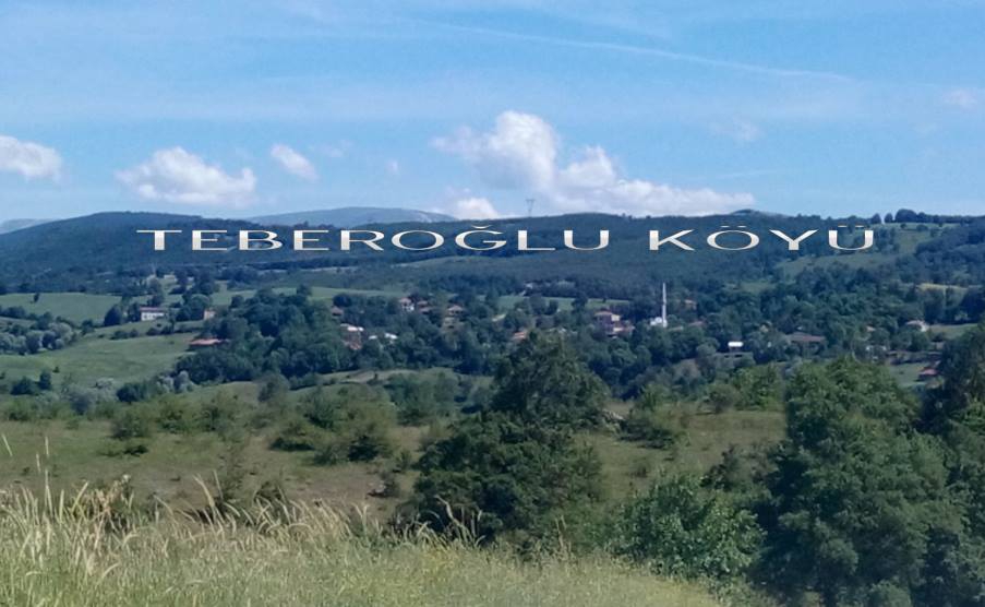 Ladik Teberoğlu Köyü Resmleri 11