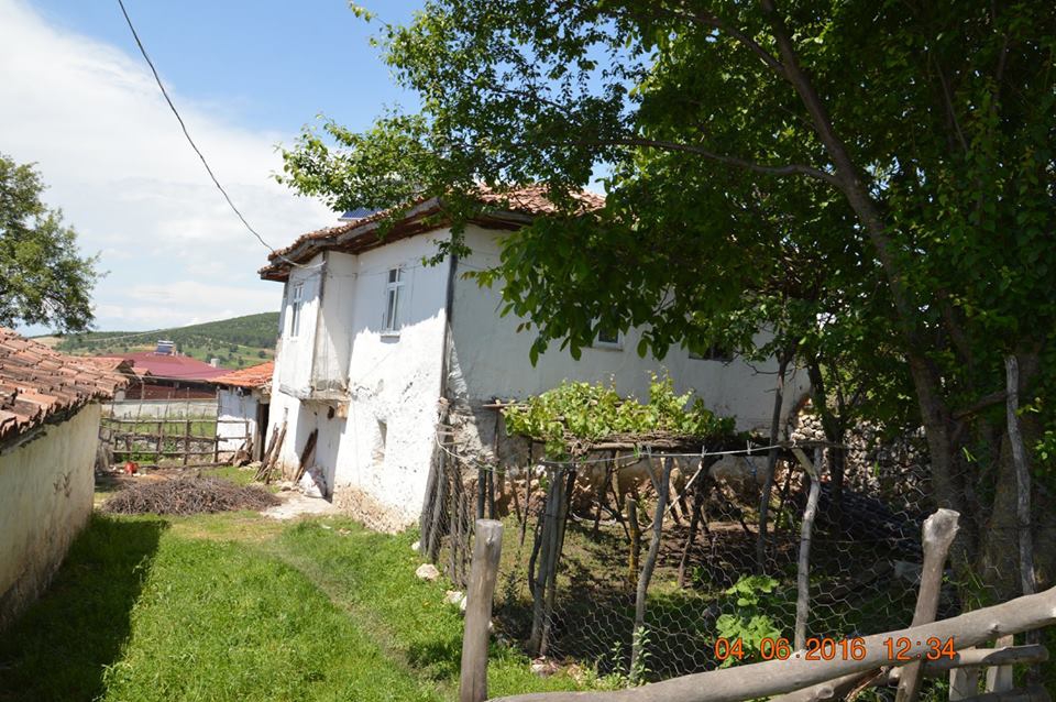 Ladik Söğütlü Köyü Resimleri 11