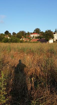 Ladik Söğütlü Köyü Resimleri 4