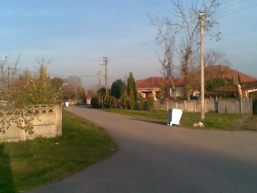 Arifiye Türkçaybaşı Köyü Resimleri 5