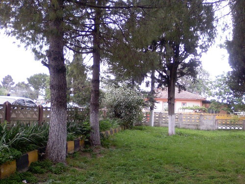 Arifiye Türkçaybaşı Köyü Resimleri 7