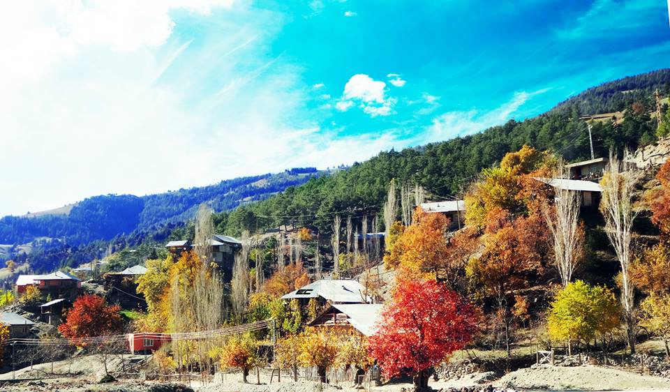 Adana Feke Ormancık Köyü Resimleri 7