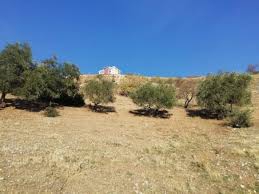 Onikişubat Gayberli Köyü Resimleri 10