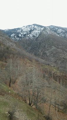 Onikişubat Gölpınar Köyü Resimleri 1