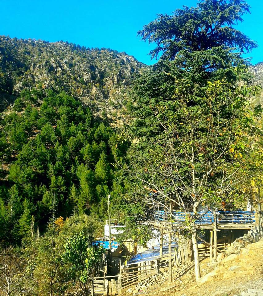 Onikişubat Gölpınar Köyü Resimleri 3