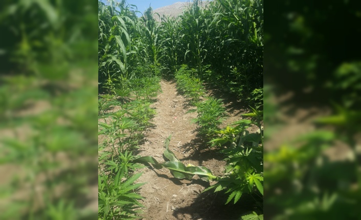 Onikişubat Hacıağlar Köyü Resimleri 5