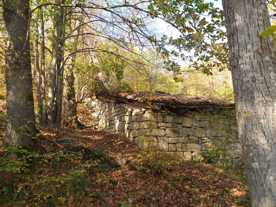 Ladik Nusratlı Köyü Resimleri 11