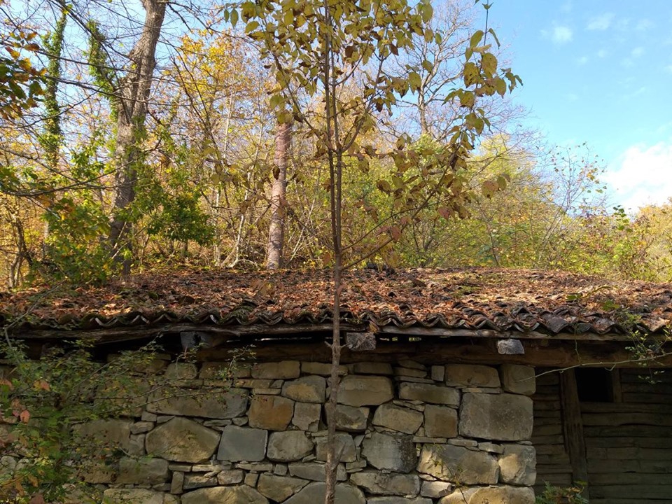 Ladik Nusratlı Köyü Resimleri 9