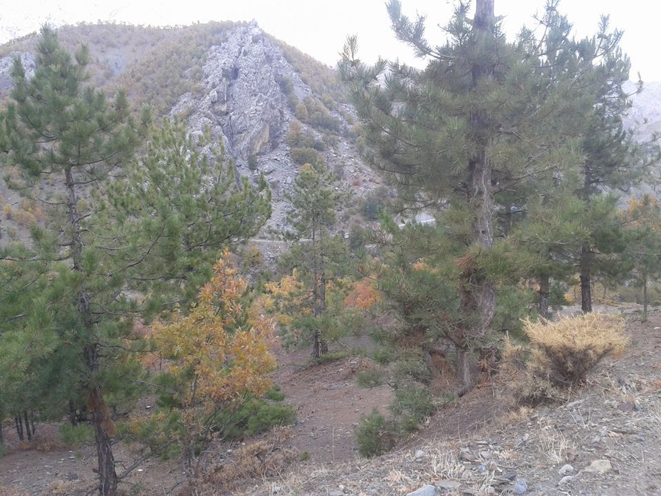 Onikişubat Hacıbudak Köyü Resimleri 11