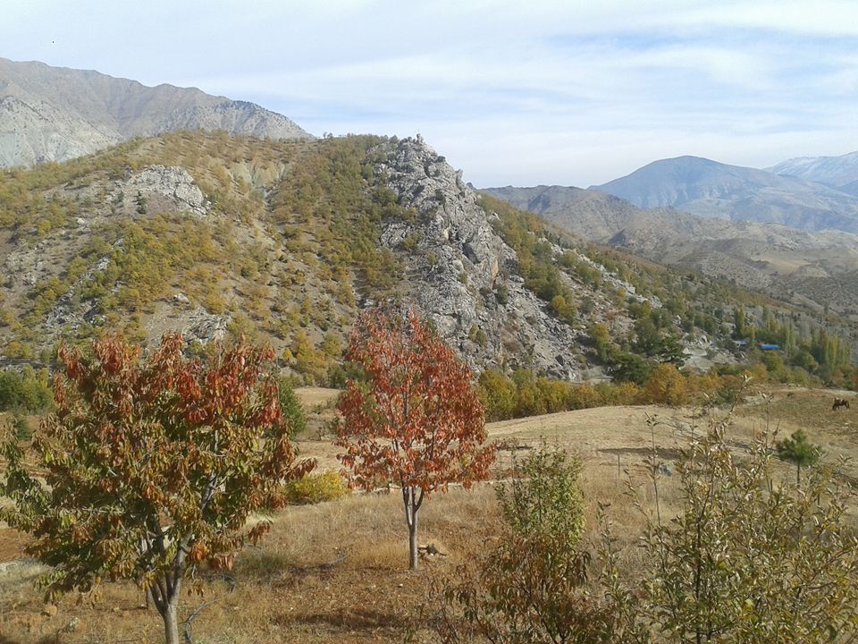 Onikişubat Hacıbudak Köyü Resimleri 6