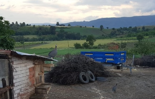 Vezirköprü Ağcayazı Köyü Resimleri 10