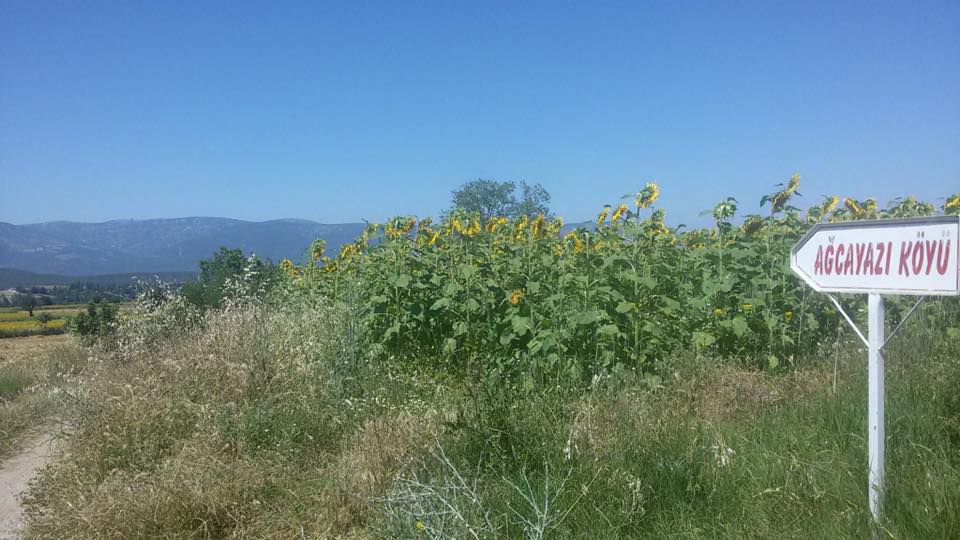 Vezirköprü Ağcayazı Köyü Resimleri 8