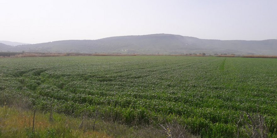 Onikişubat Hacımustafa Köyü Resimleri