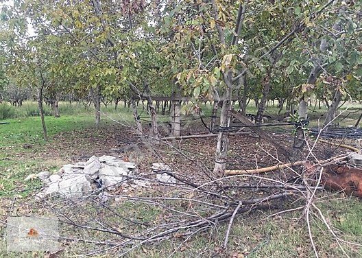 Onikişubat Hacınınoğlu Köyü Resimleri 5