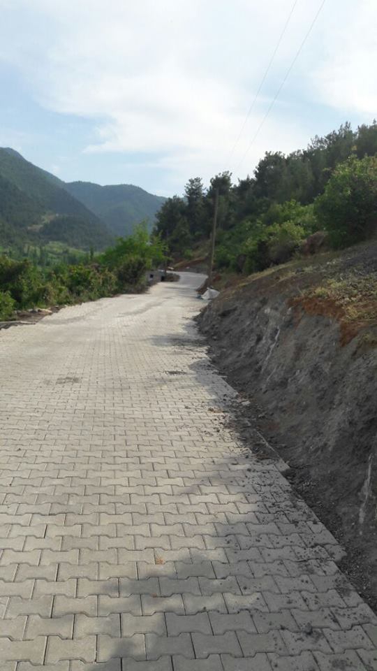 Onikişubat Hartlap Köyü Resimleri 6