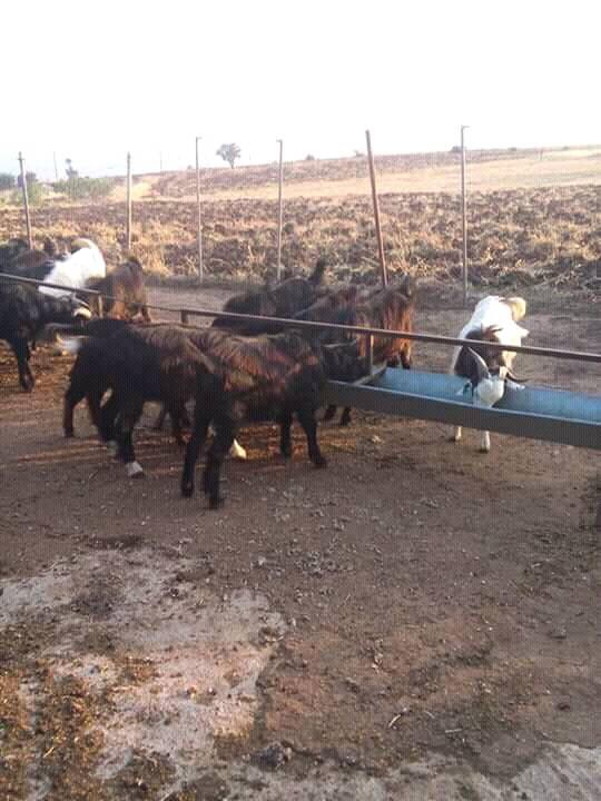 Onikişubat Hayrullah Köyü Resimleri 4