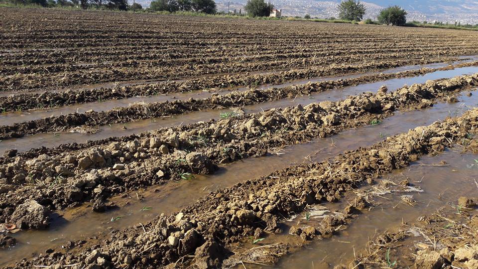 Onikişubat Hayrullah Köyü Resimleri 5