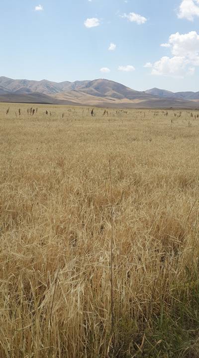 Onikişubat Hürriyet Köyü Resimleri 3
