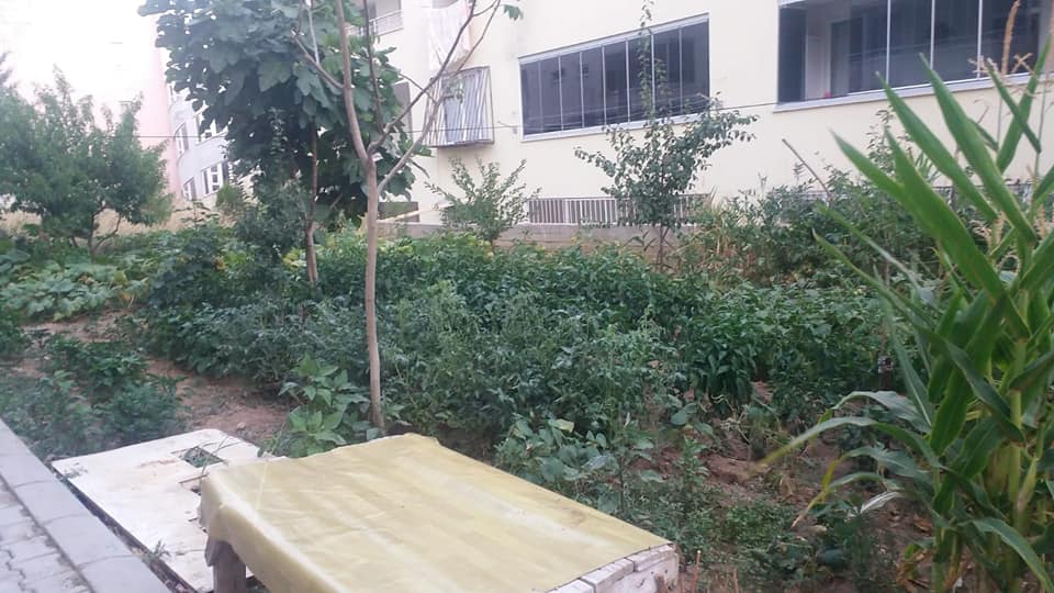 Onikişubat Ilıca Köyü Resimleri 3