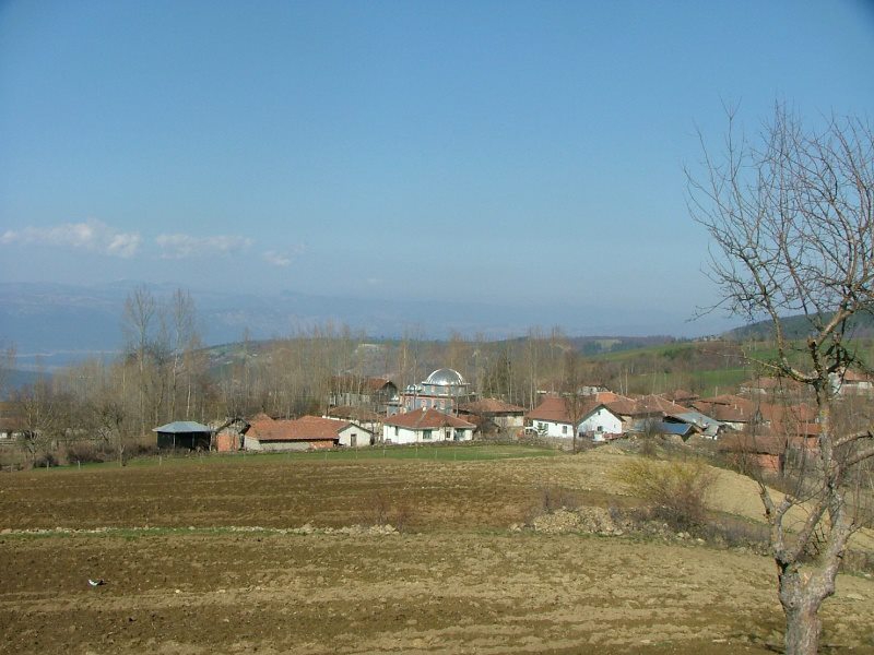 Vezirköprü Ahmetbaba Köyü 2