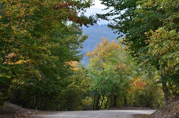 Vezirköprü Ahmetbaba Köyü 3