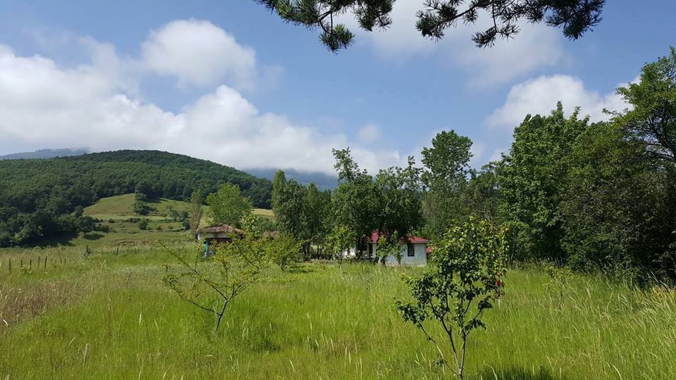 Vezirköprü Alanbaşı Köyü 10