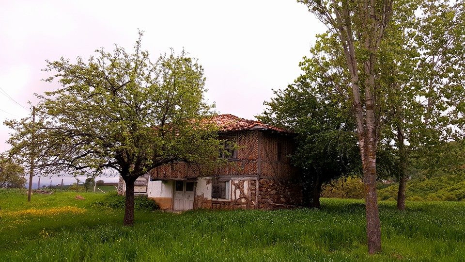 Vezirköprü Alanbaşı Köyü 9