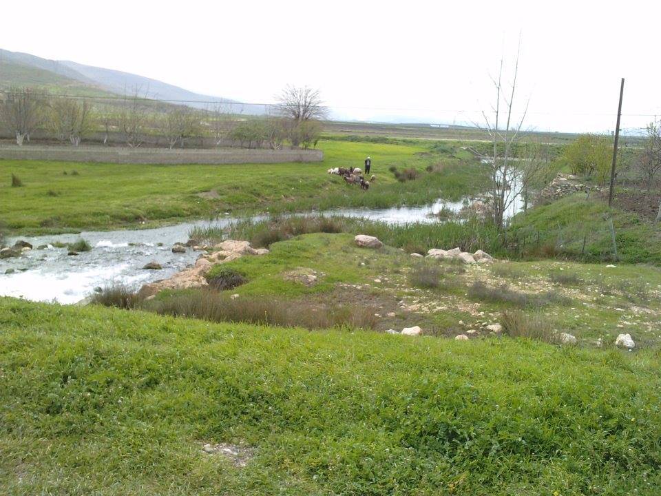 Pazarcık Çöçelli Köyü Resimleri 5