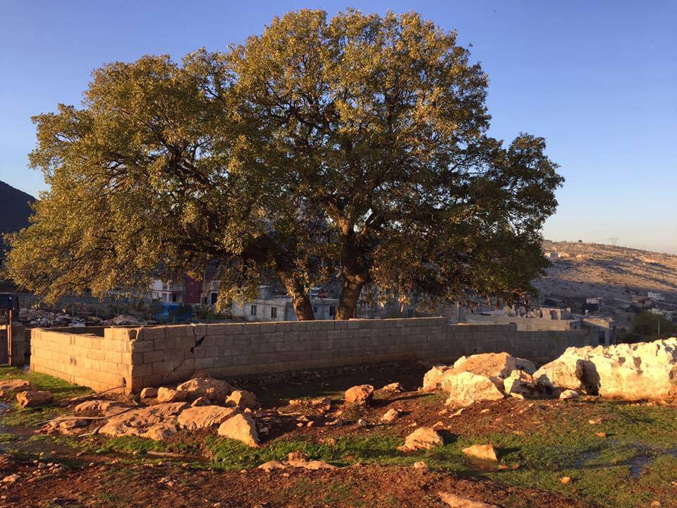 Pazarcık Çöçelli Köyü Resimleri 6