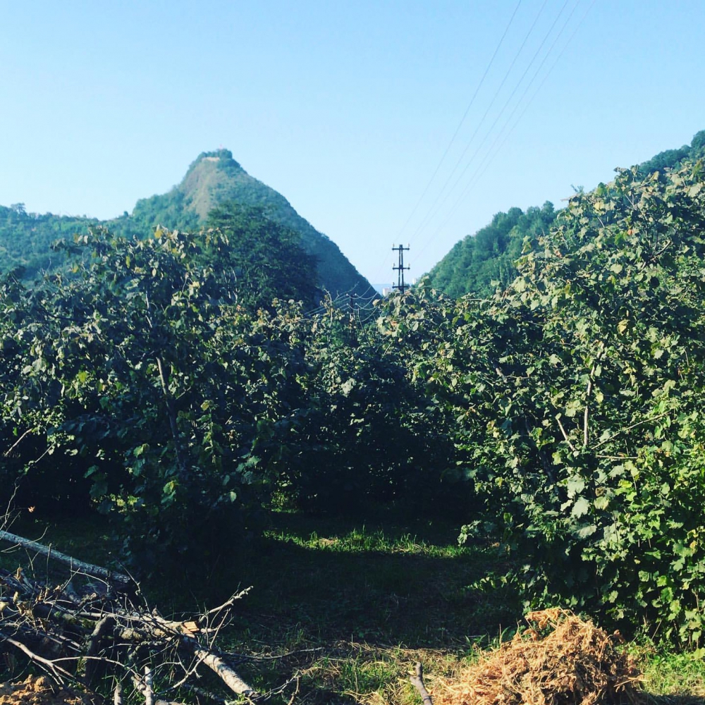 Onikişubat Karadere Köyü Resimleri 1
