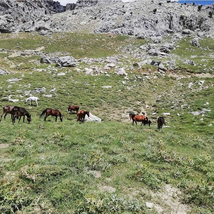 Onikişubat Kertmen Köyü Resimleri 30