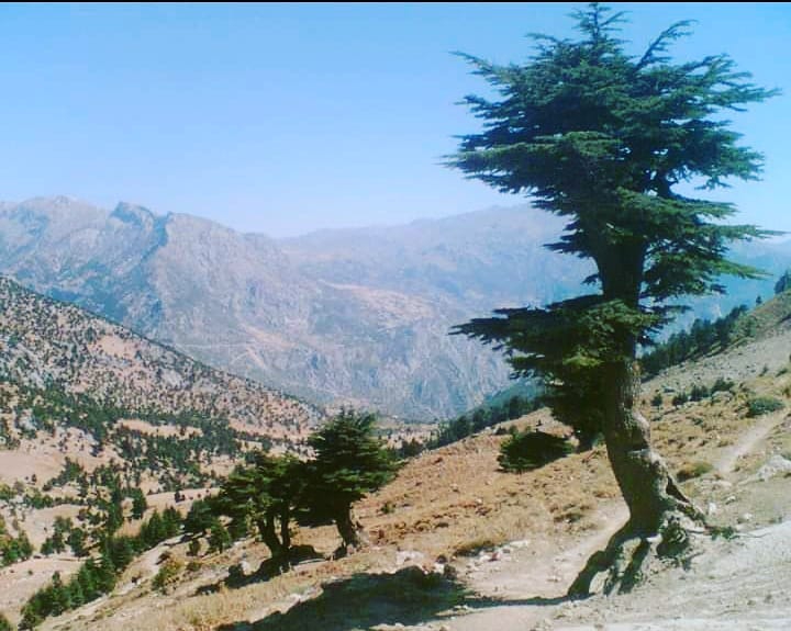 Onikişubat Kertmen Köyü Resimleri 4