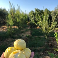 Onikişubat Kızıldamlar  Köyü Resimleri 1