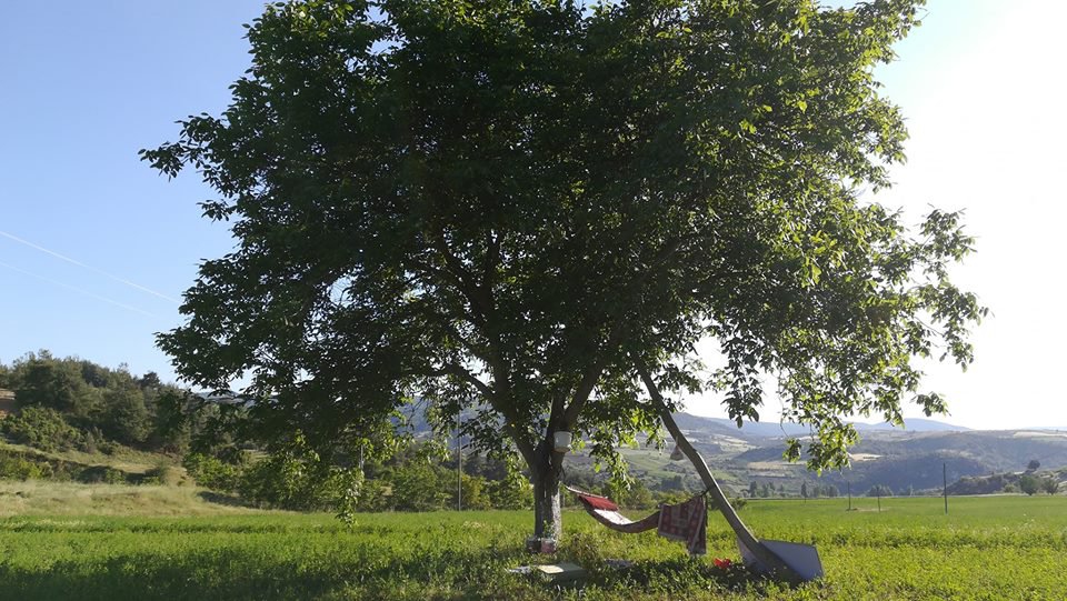 Onikişubat Kızıldamlar  Köyü Resimleri 6