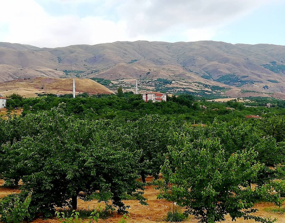 Onikişubat Kozcağız Köyü Resimleri 7