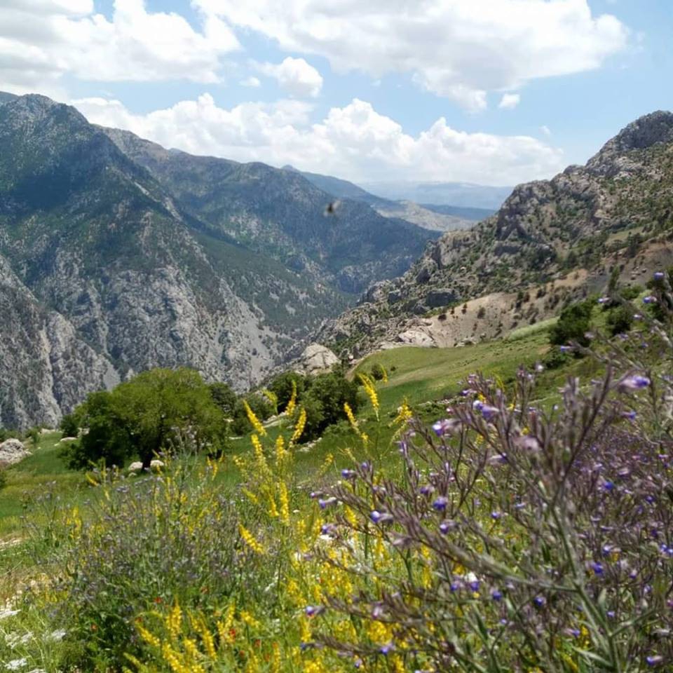 Onikişubat Köseli Köyü Resimleri 1