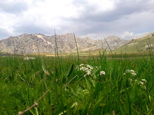 Onikişubat Kumarlı Köyü Resimleri 13