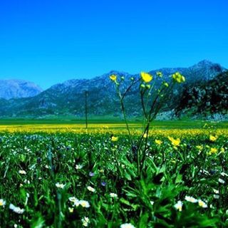 Onikişubat Kumarlı Köyü Resimleri 7