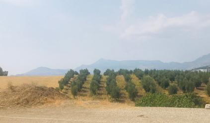 Onikişubat Kurtlar Köyü Resimleri 6