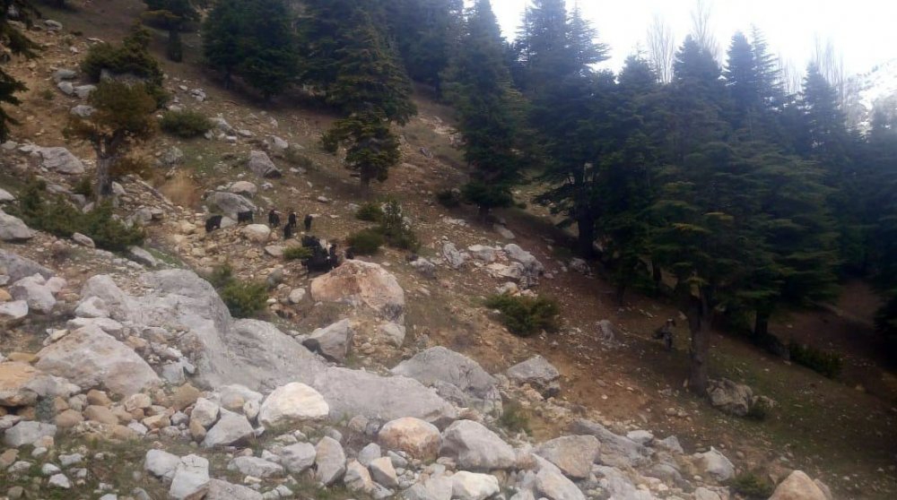 Onikişubat Kurucaova Köyü Resimleri 9