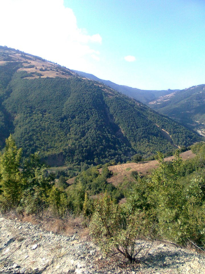 Vezirköprü Alanşeyhi Köyü 1