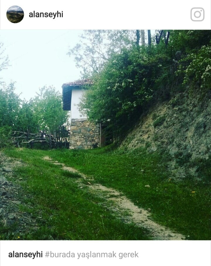 Vezirköprü Alanşeyhi Köyü 11