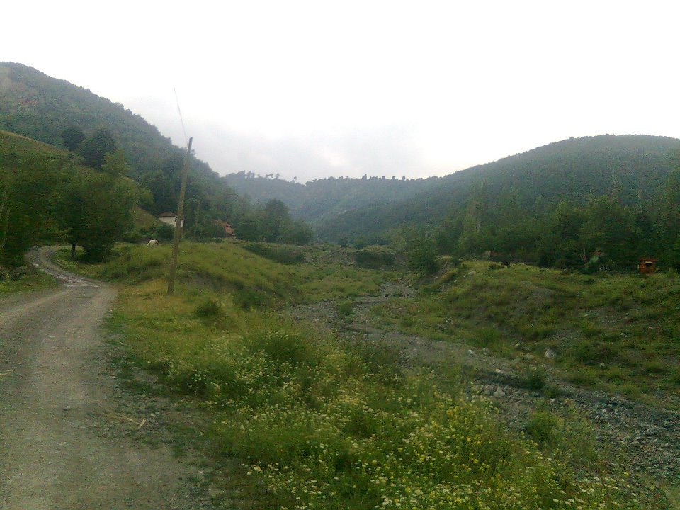 Vezirköprü Alanşeyhi Köyü 4