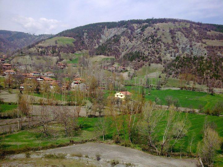 Vezirköprü Alanşeyhi Köyü 6