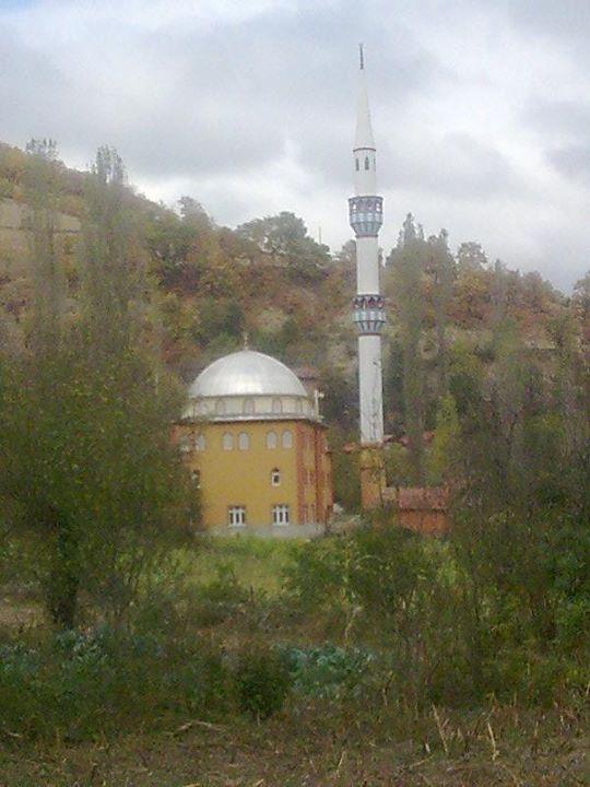 Vezirköprü Alanşeyhi Köyü 7