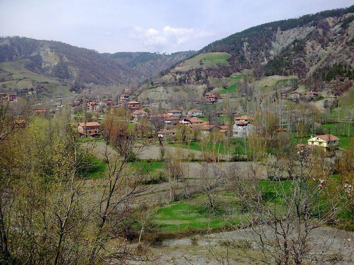 Vezirköprü Alanşeyhi Köyü 8