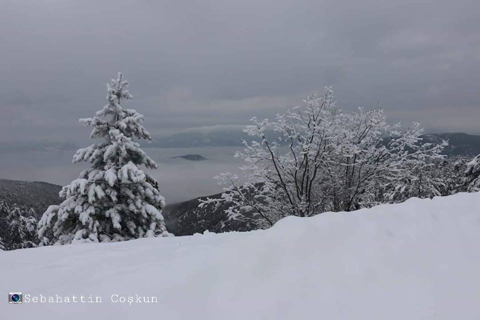 Vezirköprü Altınkaya Köyü 4